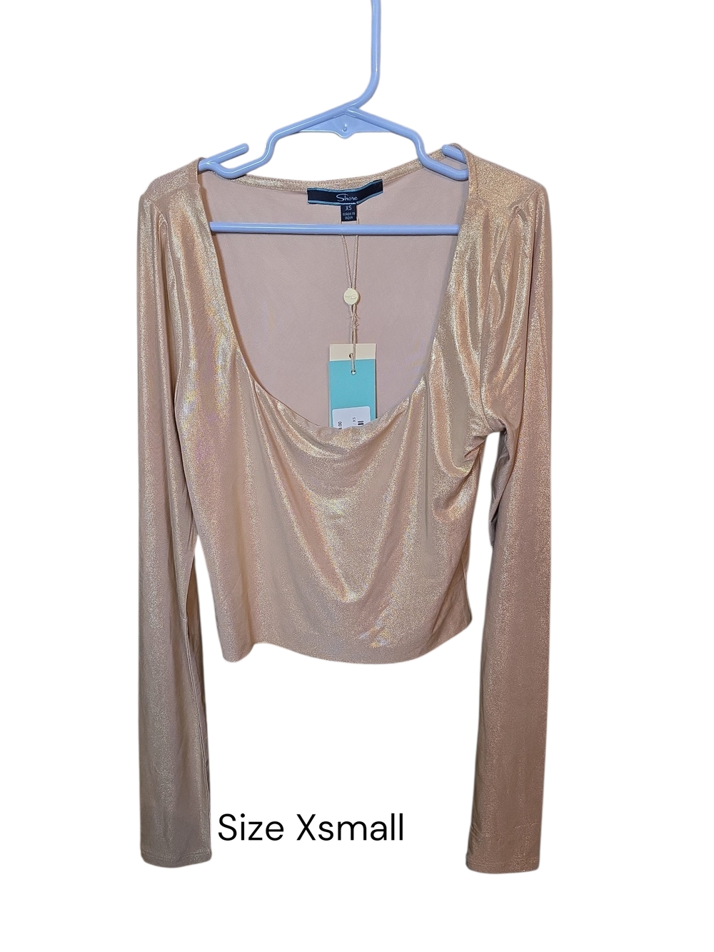 Shore Gold Shimmery Draped Scoop Long Sleeve Crop Top